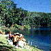 Lake Eacham, Crater Lake Atherton Tableland