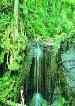 Lake Eacham Waterfalls, Atherton Tableland